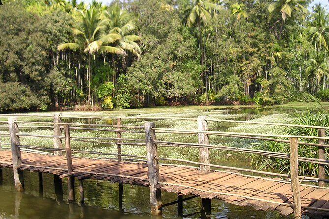 Highlights of South Goa with Spice Plantation Tour (Guided Fullday Tour by Car) - Key Points