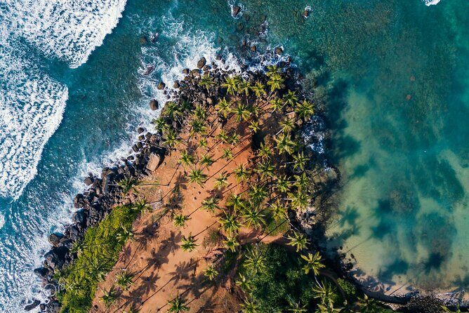 Highlights of Sri Lanka 8 Days Private Tour - The Value and What You’re Getting