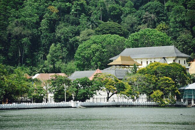 Highlights of Sri Lanka 8 Days Private Tour - Final Thoughts