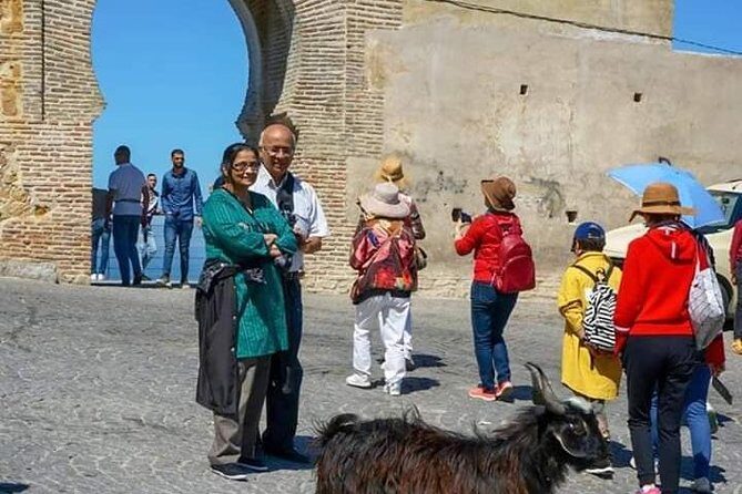 Highlights of Tangier Half Day Tour Include Lunch - The Sum Up: Who Should Consider This Tour?