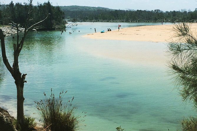 Highlights of the Eurobodalla (half day private tour) - Exploring Eurobodalla: A Closer Look at the Itinerary