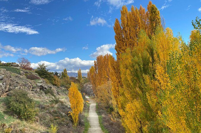 Highlights of the Otago Rail Trail: all-inclusive eBike Tour - Who Will Love This Tour?