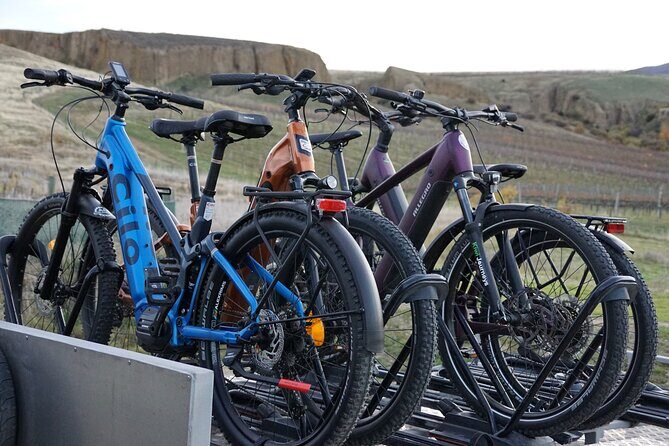 Highlights of the Otago Rail Trail: all-inclusive eBike Tour - FAQ