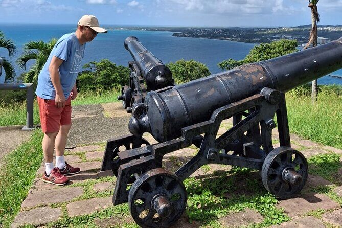 Highlights of Tobago Tour - Exploring the Highlights of Tobago: A Practical Guide to a Compact Island Tour