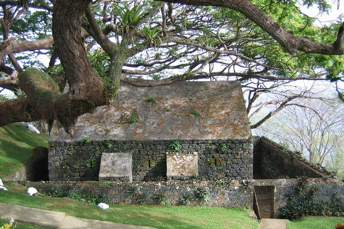 Highlights of Tobago Tour - Who Should Consider This Tour?