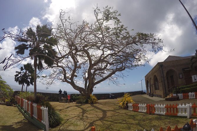 Highlights of Tobago Tour - Final Thoughts: Is It Worth It?