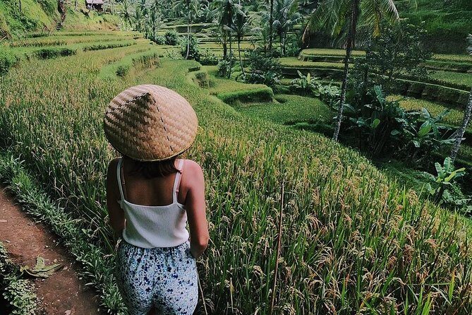 Highlights of Ubud: Nature, Rice Terrace, Waterfall, Temple and more - Exploring Ubud in a Day: A Practical Review of the Highlights Tour
