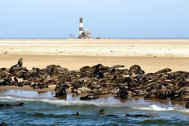 Highlights of Walvis Bay Private Tour - Highlights of Walvis Bay Private Tour