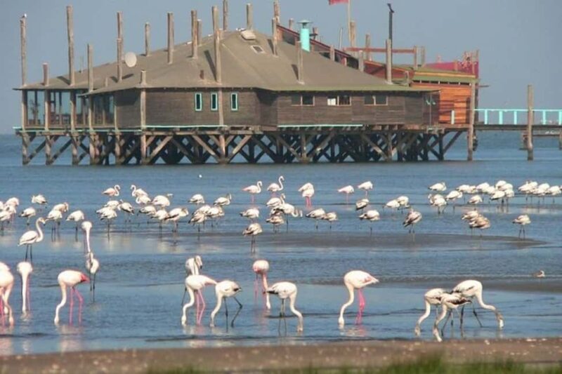 Highlights of Walvis Bay Private Tour - A Closer Look at the Walvis Bay Private Tour