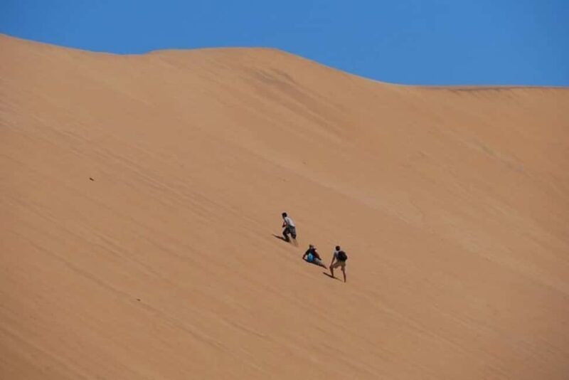Highlights of Walvis Bay Private Tour - The Sum Up