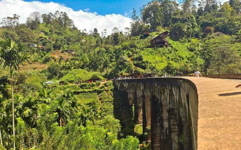 Highlights tour with tasting & Green environment in ella - Final Thoughts: Is This Tour Right for You?