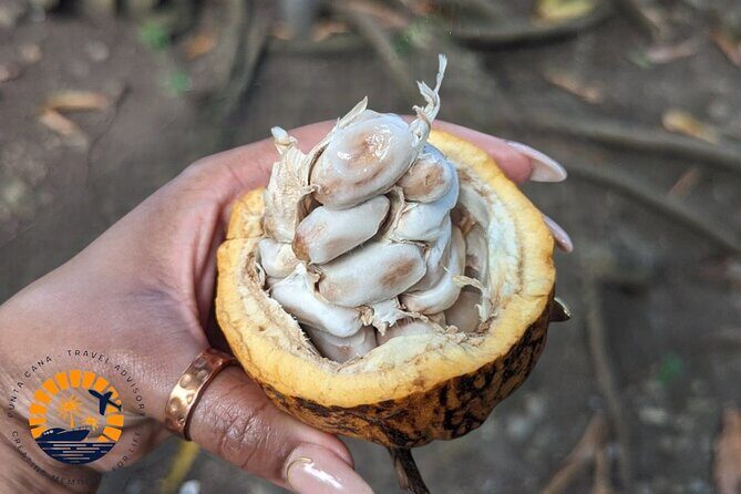 Higuey expedition cultural and historical tour from Punta Cana - FAQ