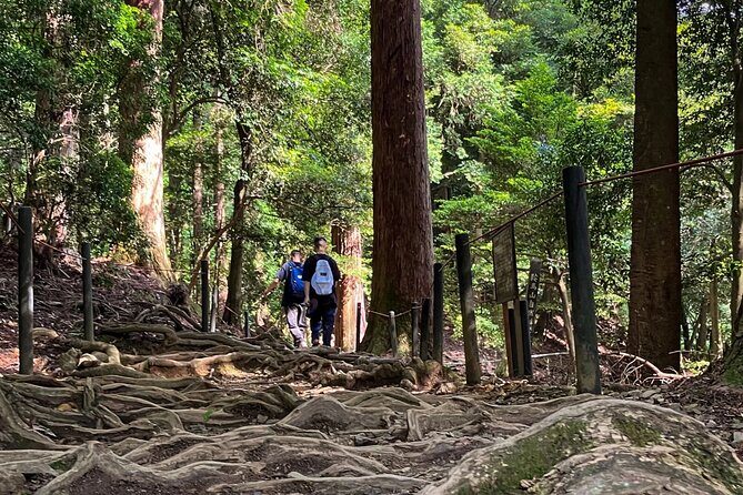 Hike and explore the Kurama and Kibune ancient Paths - The Value of This Tour