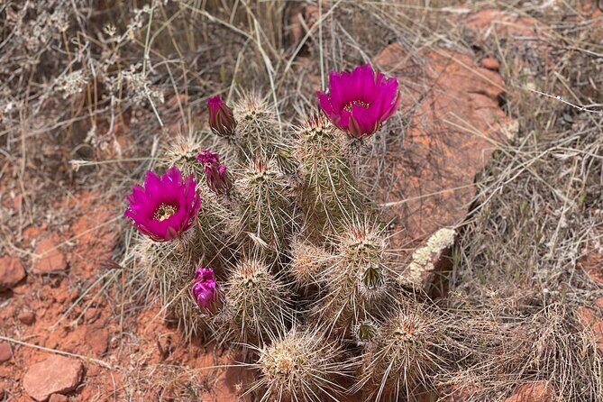 Hike and Heal Couples Relationship in Sedona Healing Red Rocks - Who Is This Tour Best For?