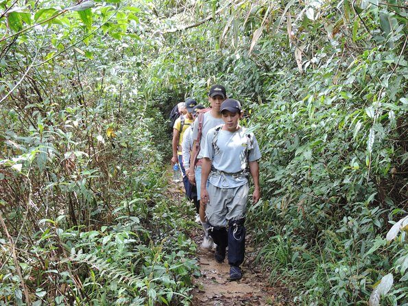 Hike and Kayak with exploring Tuyen Lam Lake in Da Lat - An In-Depth Look at the Hike and Kayak Tour in Da Lat