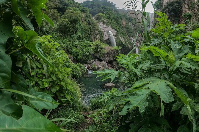 Hike and Swim in fresh springs and waterfalls in Guadalajara - What’s Included and What’s Not