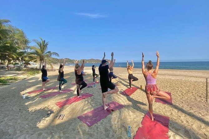 Hike and Yoga Jungle Experience in Mexico - A Closer Look at the Experience