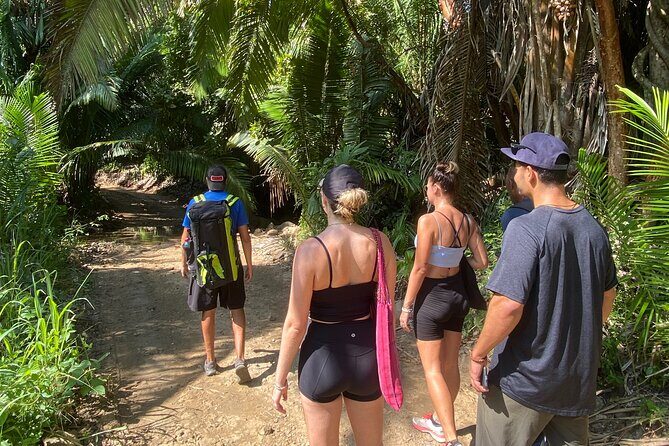 Hike and Yoga Jungle Experience in Mexico - The Sum Up: Is This Tour Worth It?