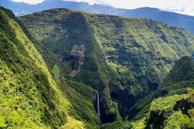 Hike: Bélouve Rainforest and Trou de Fer - Key Points