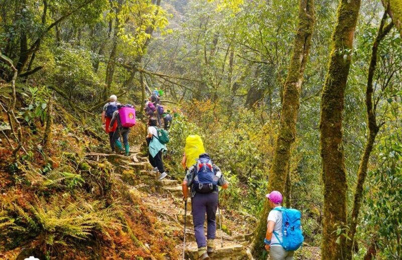 HIKE FANXIPAN MOUNTAIN TOUR 1DAY - Key Points