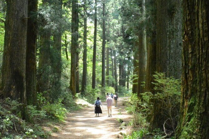 Hike Hakone Hachiri - An In-Depth Look at the Tour Experience