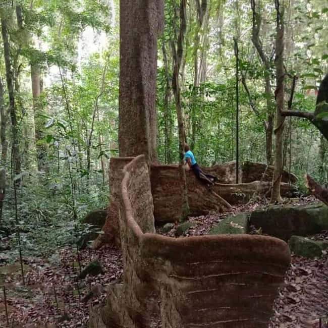 Hike in the Mazumbai forest - The Sum Up