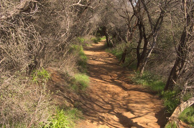 Hike in the Santa Monica Mountains - FAQ
