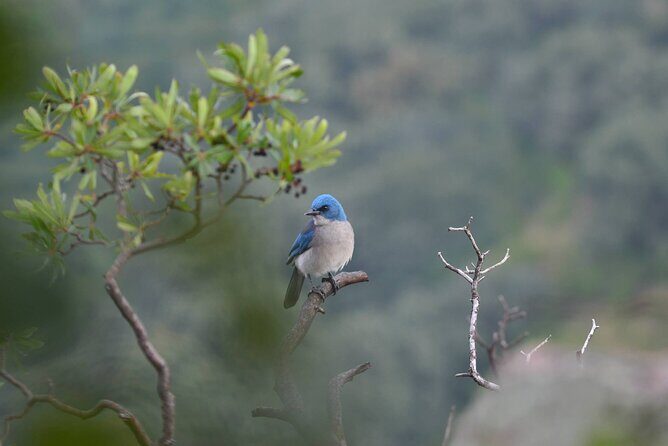 Hike in the Sierra de Santa Rosa - Key Points