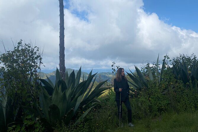 Hike in the Sierra Norte, Cuajimoloyas - Analyzing the Value