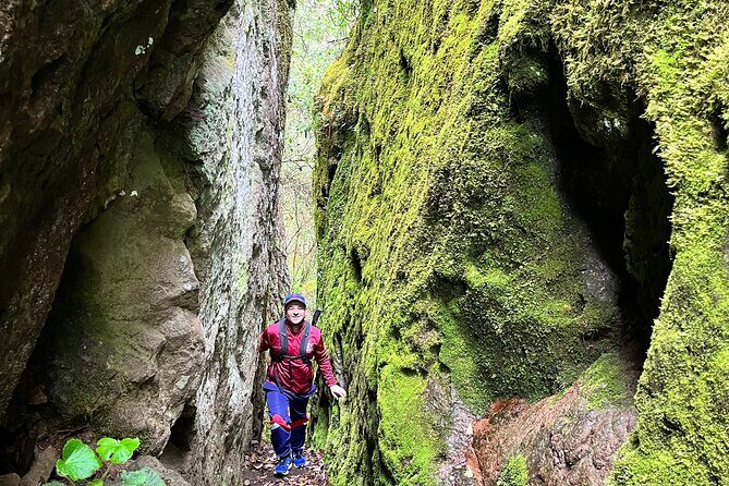 Hike in the Sierra Norte, Cuajimoloyas - Practical Details: What You Need to Know