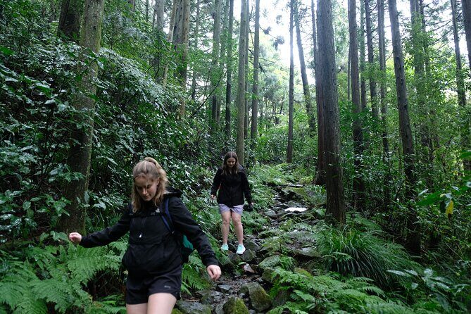 Hike Japan Heritage Hakone Hachiri (Half Day) - Key Points