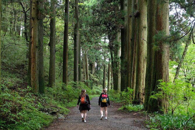 Hike Japan Heritage Hakone Hachiri (Half Day) - The Nitty-Gritty: A Closer Look at the Tour