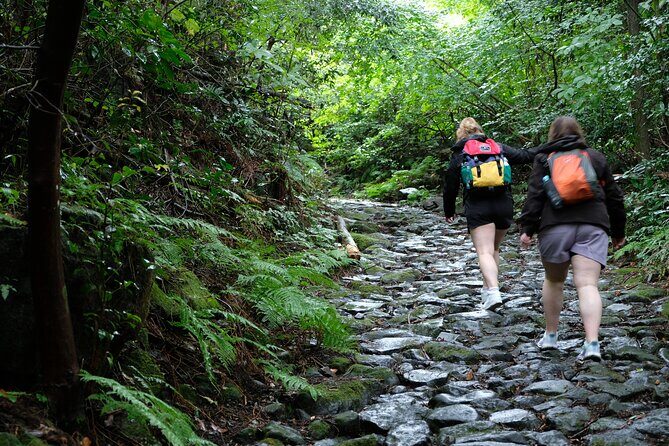 Hike Japan Heritage Hakone Hachiri (Half Day) - Who Should Consider This Tour?