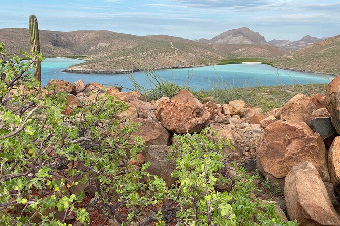 Hike La Paz Balandra Overlook "The most beautiful beach in MX!" - Why This Tour Offers True Value