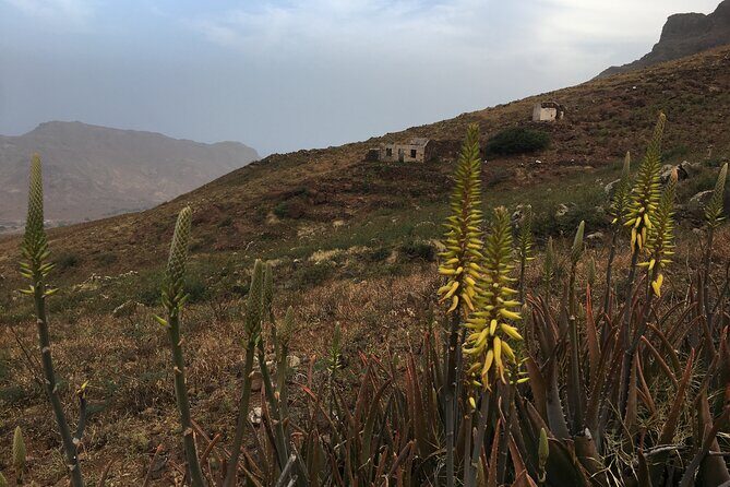 Hike Monte Verde, Natural Park, São Vicente, 3h +/- (roundtrip) - The Sum Up