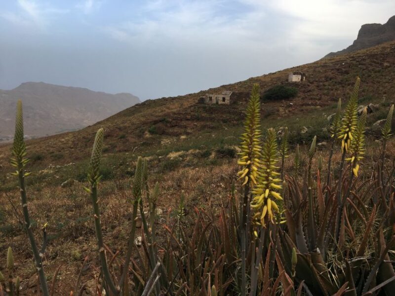 Hike Monte Verde - Final Thoughts: Who Will Love This Tour?