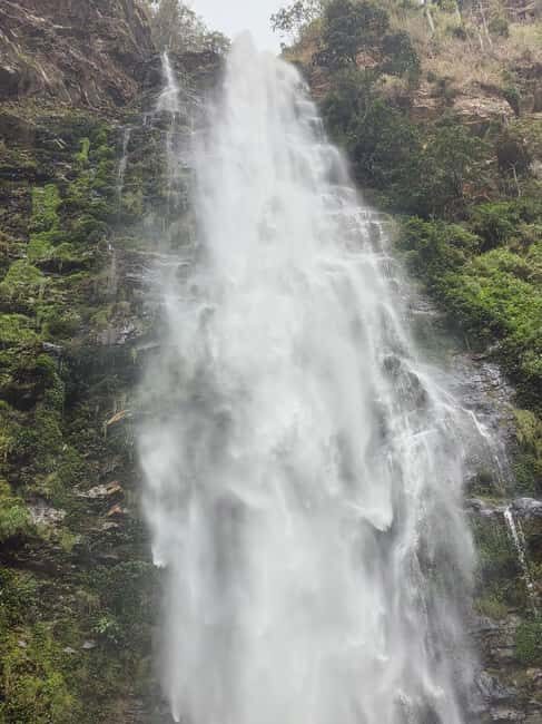 Hike Mount Afadjato and Visit Wli Falls and Monkey Sanctuary - Who Should Consider This Tour?