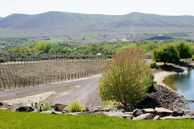 Hike Mt. Rainier & Taste Yakima Valley Wine: All-Inclusive Day Tour from Seattle - Practical Details for Planning Your Day