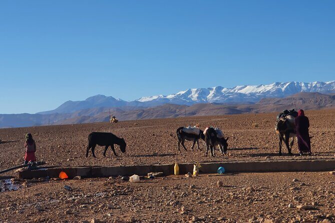 Hike & Overnight With Nomads Families - The Itinerary in Detail