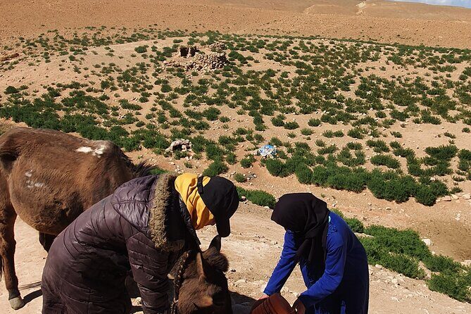 Hike & Overnight With Nomads Families - Why This Tour Offers Great Value