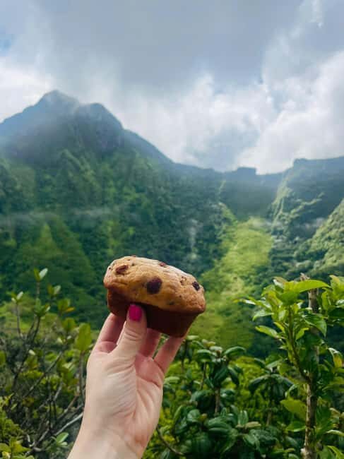 Hike St. Kitts: Highest peak Mount Liamuiga Volcano - Practical Tips for Your Hike