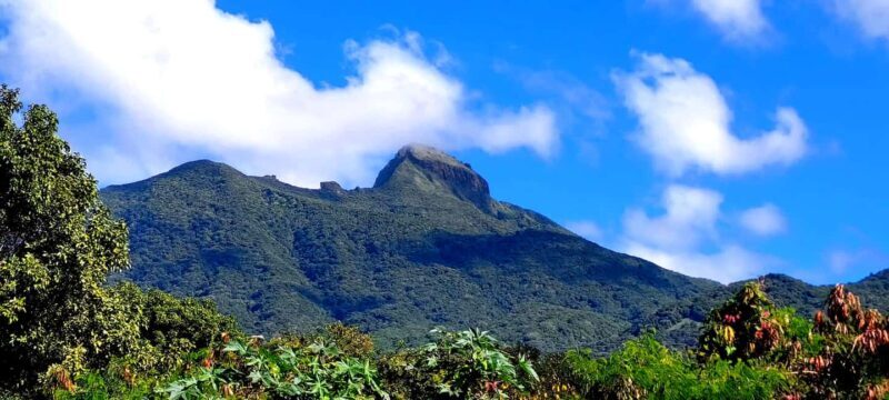 Hike St. Kitts: Highest peak Mount Liamuiga Volcano - FAQs