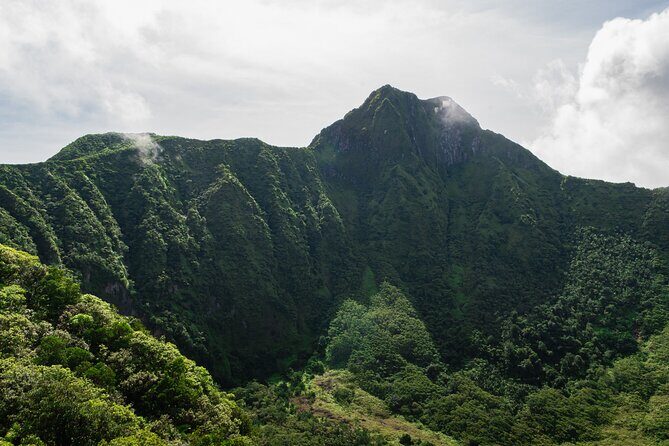 Hike St. Kitts: Highest peak Mount Liamuiga Volcano - In The Sum Up