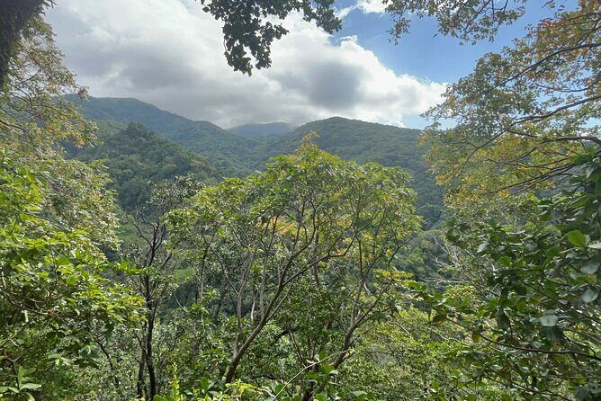 Hike St Kitts: Wingfield Rainforest and Romney Experience - Key Points