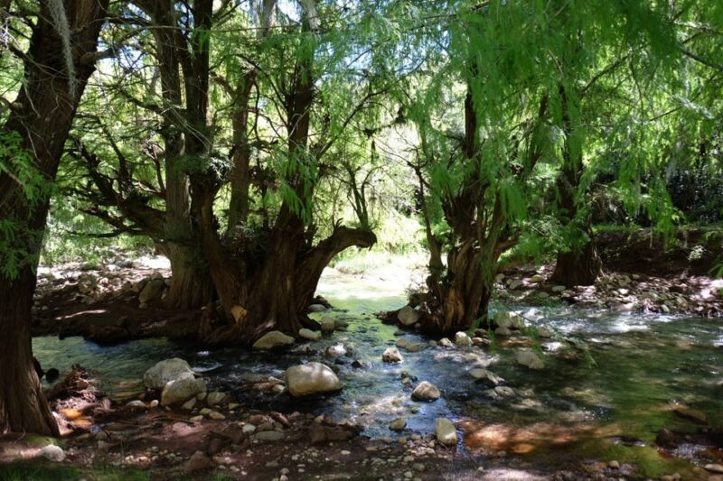 Hike + Swim at Apoala Waterfalls - Who Is This Tour Best For?