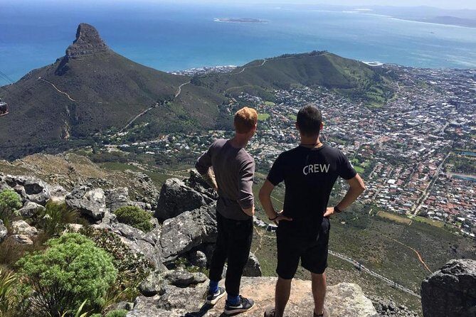 Hike Table Mountain or Lions Head in Cape Town Like a Local - Who Will Love This Experience?