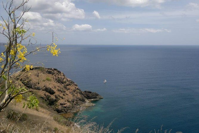 Hike the Fort Experience- Amazing Panoramic Views (Pigeon Island) - Who Is This Tour Best For?