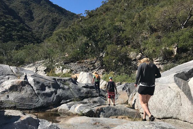 Hike the native Pericu road in Sierra de la Laguna. - Key Points