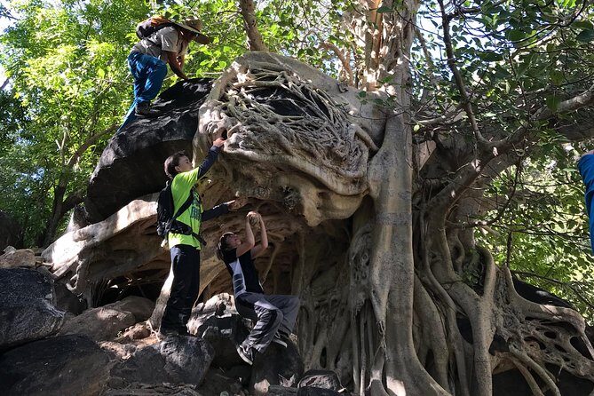 Hike the native Pericu road in Sierra de la Laguna. - Final Thoughts: Is This Tour for You?