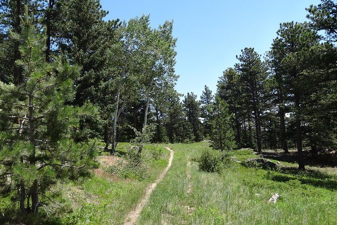 Hike the Rockies Half Day Tour - Key Points